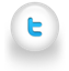 Seguici su Twitter!